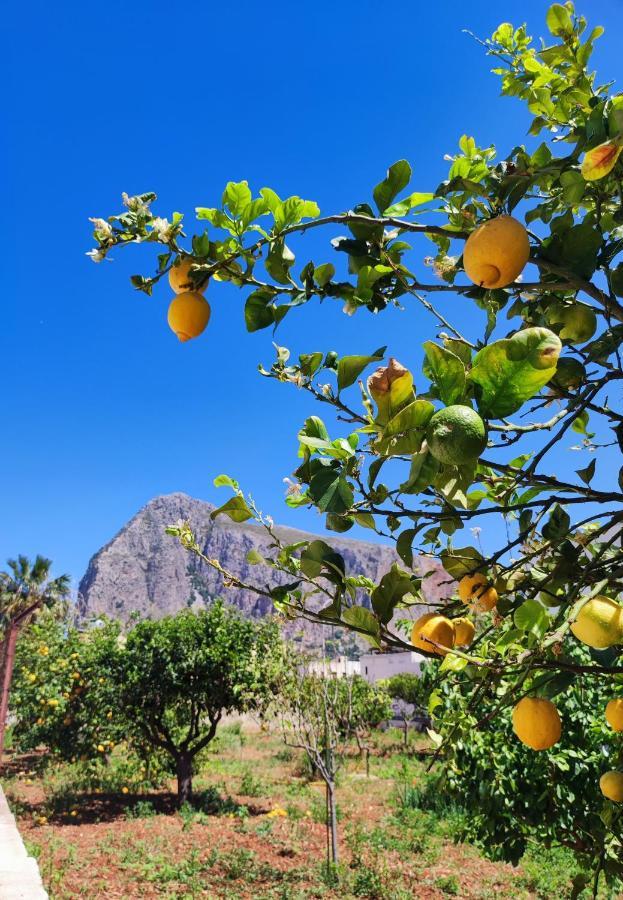 Casa Vacanze Il Faro San Vito Lo Capo-Trapani-Sicilia Ovest Holiday Home Екстер'єр фото