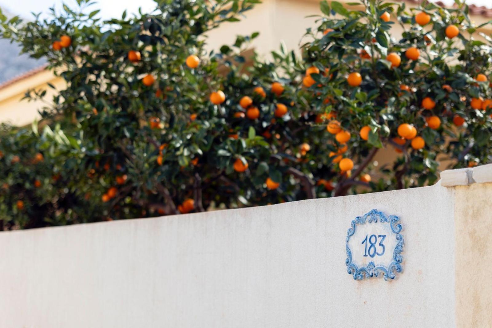 Casa Vacanze Il Faro San Vito Lo Capo-Trapani-Sicilia Ovest Holiday Home Екстер'єр фото