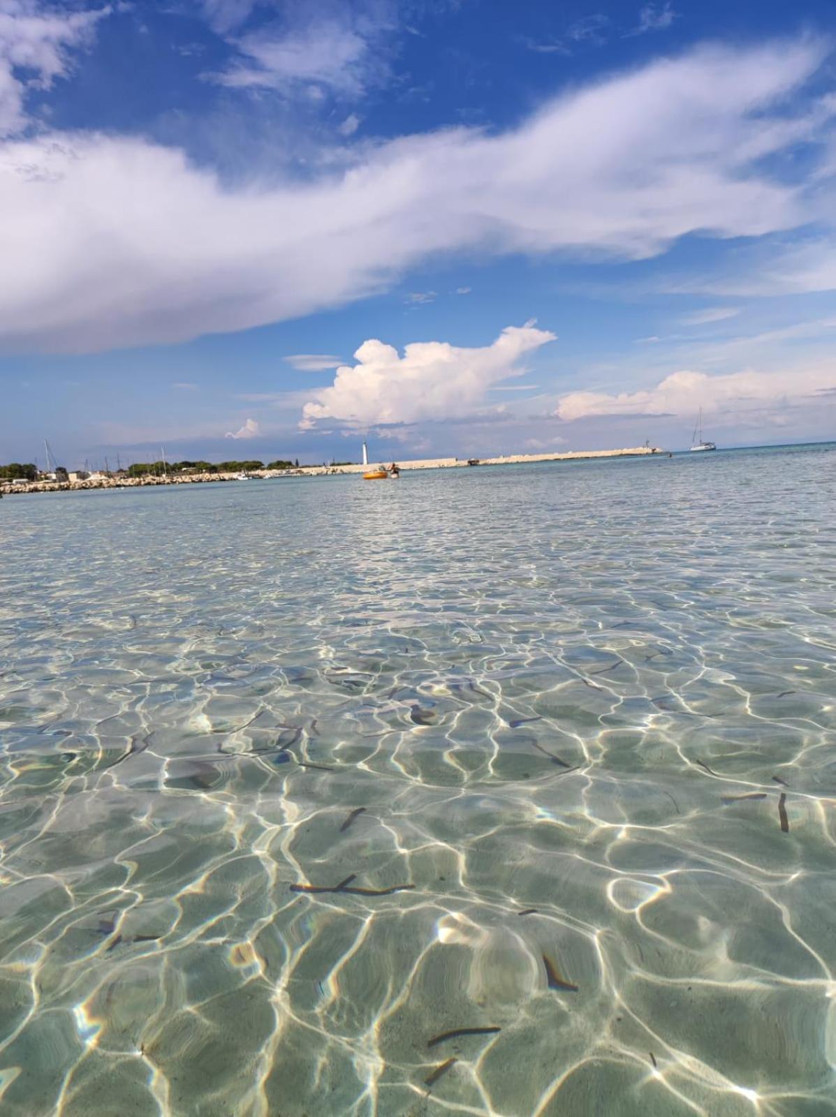 Casa Vacanze Il Faro San Vito Lo Capo-Trapani-Sicilia Ovest Holiday Home Екстер'єр фото